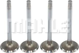 MAHLE VA0570038 - Inlet Valve lastbilsdelar24.se