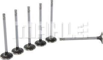 MAHLE VA0130011 - Inlet Valve lastbilsdelar24.se