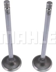 MAHLE VA0210442 - Inlet Valve lastbilsdelar24.se