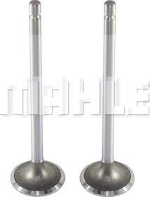 MAHLE VA0210151 - Inlet Valve lastbilsdelar24.se