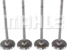 MAHLE VA0211427 - Inlet Valve lastbilsdelar24.se