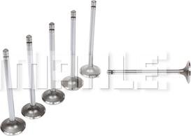 MAHLE VA0211371 - Inlet Valve lastbilsdelar24.se