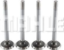 MAHLE VE0570037 - Outlet valve lastbilsdelar24.se