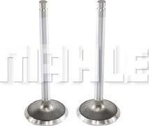 MAHLE VE0130100 - Outlet valve lastbilsdelar24.se