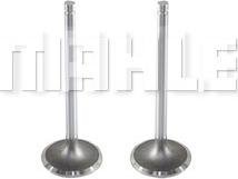 MAHLE VE0210150 - Outlet valve lastbilsdelar24.se