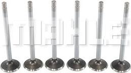MAHLE VE0211428 - Outlet valve lastbilsdelar24.se