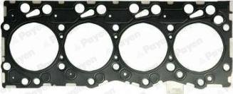 Payen AG9510 - Gasket, cylinder head lastbilsdelar24.se