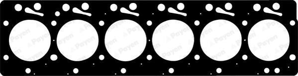 Payen BW530 - Gasket, cylinder head lastbilsdelar24.se