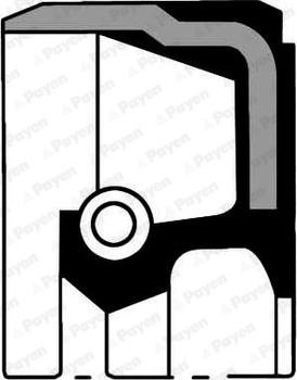 Payen NA5181 - Shaft Seal, crankshaft lastbilsdelar24.se