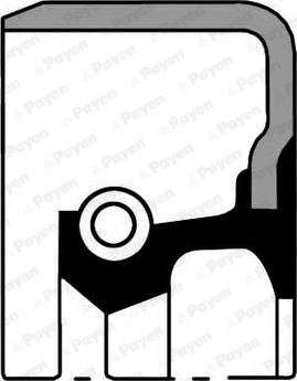 Payen NB967 - Shaft Seal, crankshaft lastbilsdelar24.se