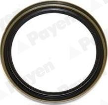 Payen NJ737 - Shaft Seal, wheel hub lastbilsdelar24.se